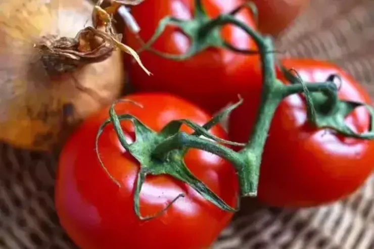 Səhər yeməyində pomidor yeməyin – Orqanları... 