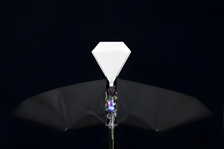 Çin dünyanın ən real quşa bənzər uçan aparatını hazırladı -VİDEO 