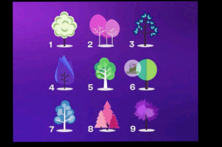 Xarakterinizi 2 kəlmədə dəqiq təsvir edən  TEST