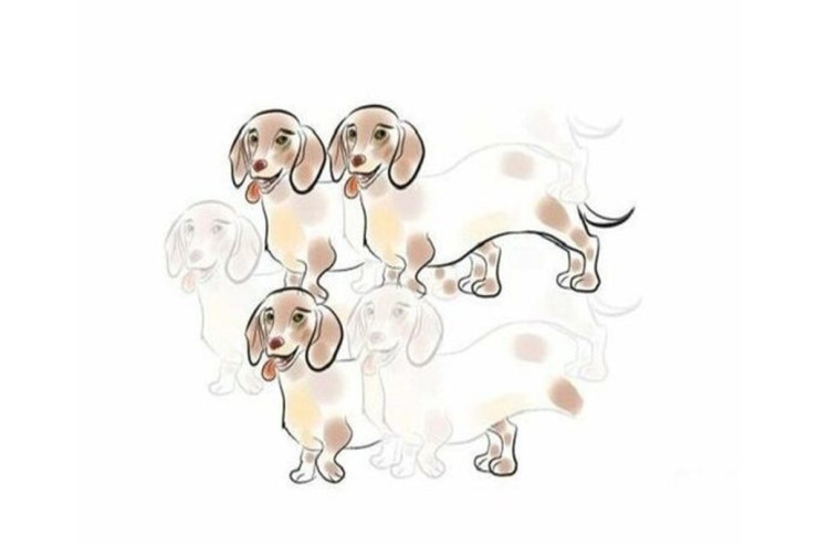 Şəkildə  neçə it   görürsünüz? Bu sizin  psixoloji yaşınızı   göstərəcək