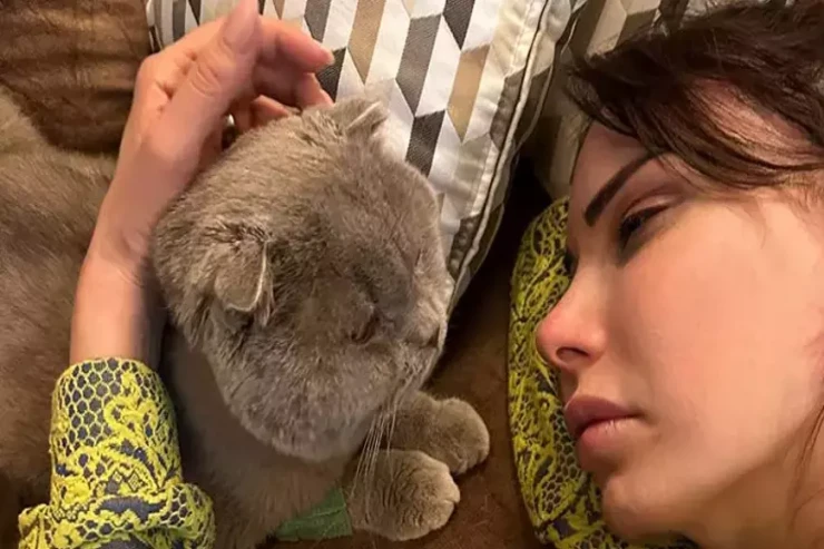 Məşhur müğənni səhnədən düşüb  xəstə pişiyinin   yanına qaçdı