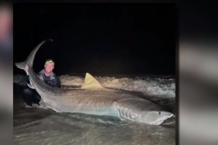 Yuxudan oyanıb, nəhəng köpək balığı  tutdu - VİDEO 