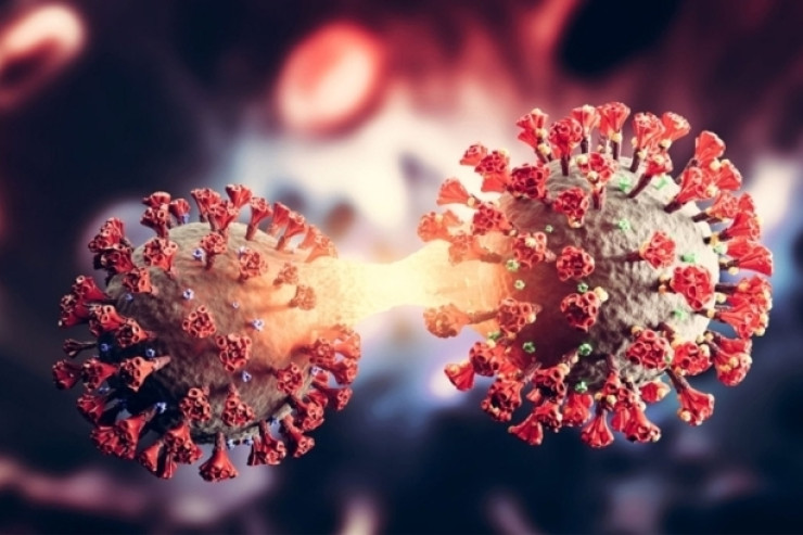 COVID-19-un  yeni variantı  Azərbaycanın bir addımlığında