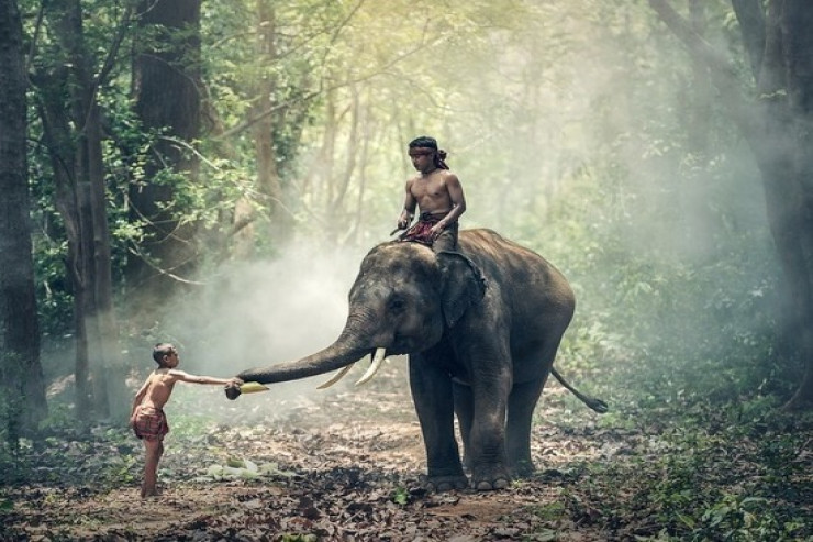 "Üç fil Amerikanı tapdalayacaq"  - Vanqanın öncəgörənliyi gerçəkləşməyə  başlayır?