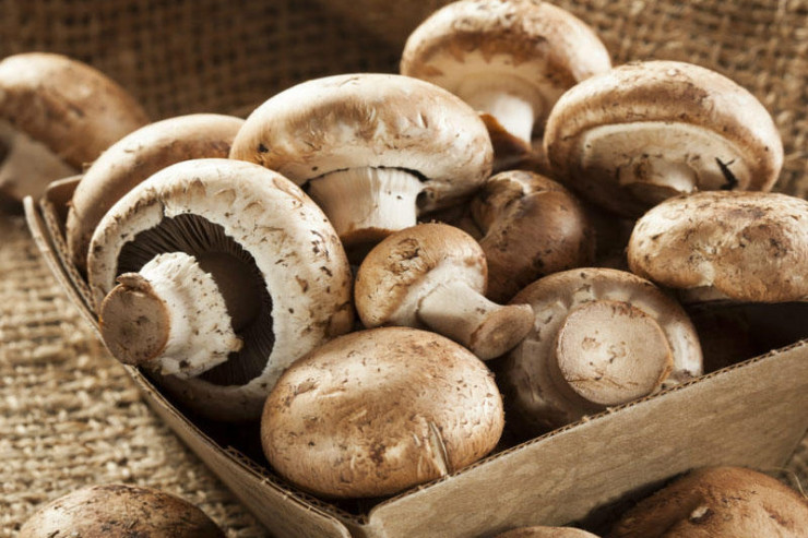 Xaçmazda göbələkdən zəhərlənən  iki qadın öldü - YENİLƏNİB 