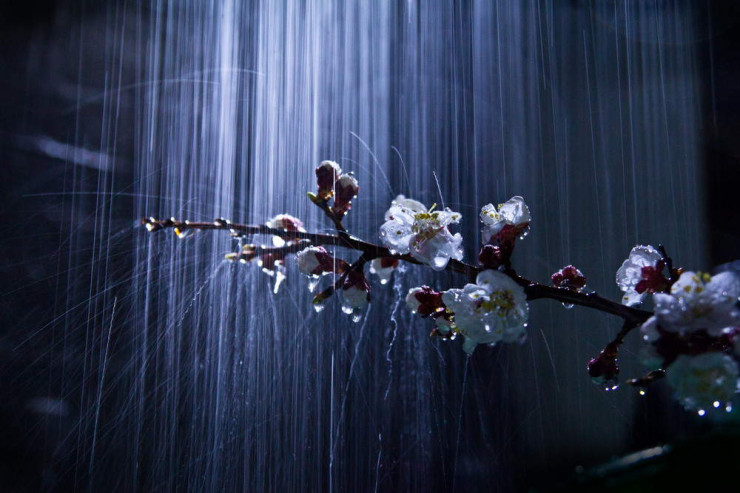 Sabah  leysan yağacaq   - Hava PROQNOZU 