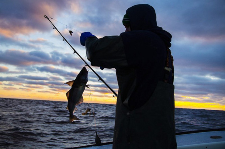 Bu gündən balıq ovu qadağan edilir 