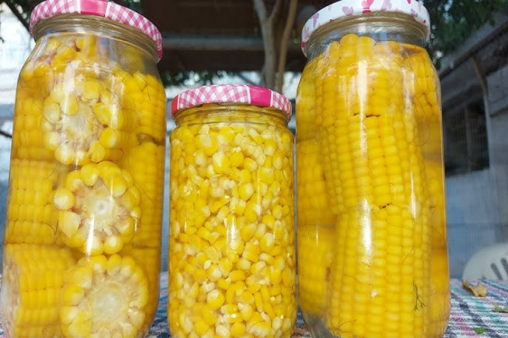 Qarğıdalı turşusu  RESEPTİ  