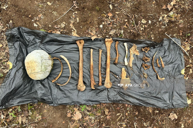 Ağdərədə tapılan insan qalıqları ilə bağlı prokurorluqdan AÇIQLAMA 