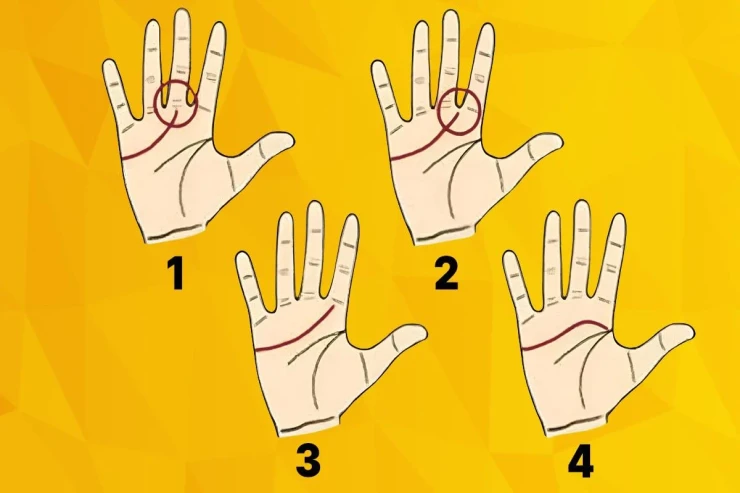  Xarakteriniz necədir?   ovcunuzdakı xətlərə əsaslanan dəqiq şəxsiyyət  TESTİ