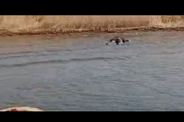 4 ay əvvəl itkin düşən balıqçının meyiti tapıldı 