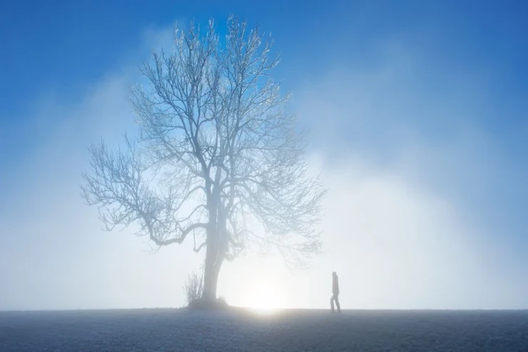 Etibarlı insan  və ya skeptik: təbiətinizi bir testlə   açın