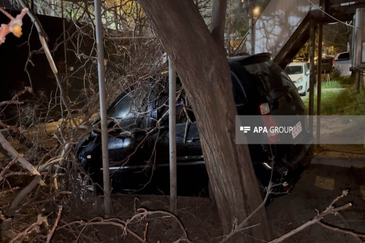 Güclü külək paytaxtda fəsadlar törətdi