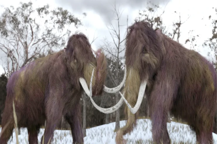 10 min il əvvəl  nəsli kəsilən canavarı diriltdilər,  növbədə 3 heyvan var