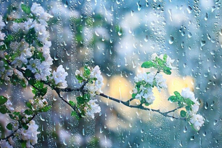 Sabah leysan   yağacaq, dolu   düşəcək