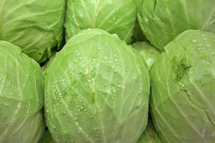 Yuxuda kələm  görmək nə deməkdir?