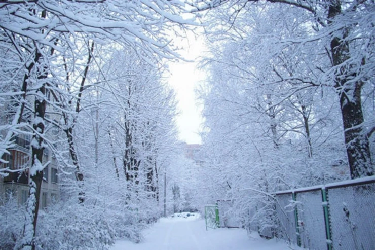 Hazırda bu rayonlara qar yağır - FAKTİKİ HAVA 