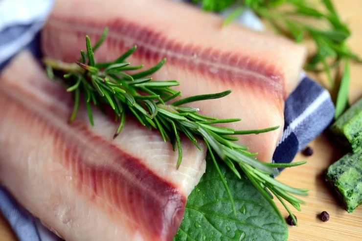 Orqanizm üçün maksimum faydalı  olan 7 NÖV BALIQ 