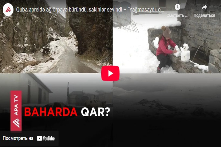 Quba apreldə ağ örpəyə büründü, sakinlər sevindi  – “Yağmasaydı, ot olmayacaqdı” - VİDEO 
