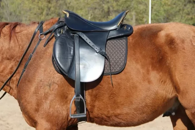 Bakıda yəhər oğrusu kameralara düşdü,  tutuldu