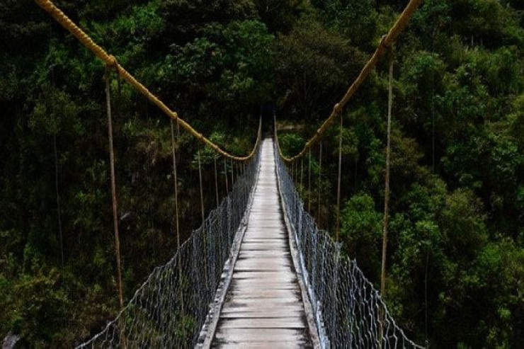 Yuxuda körpü  görmək nə deməkdir?
