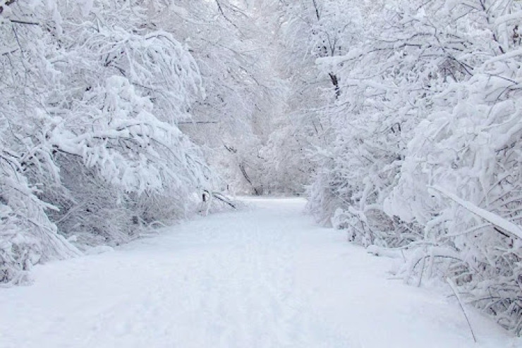 Bu rayonlara qar yağdı - FAKTİKİ HAVA 