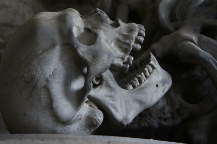 Tarlada insan kəlləsi  tapıldı