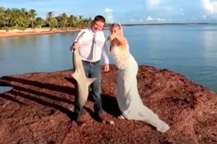 Gəlin toy günü  köpək balığı tutdu