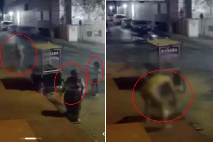 Türkiyədə DƏHŞƏT:  çılpaq kişi küçədə arvadını doğradı - HADİSƏ ANI 