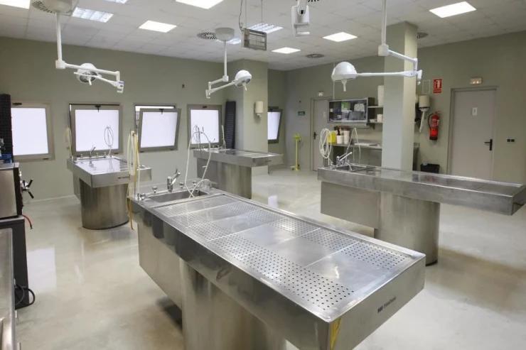 Meyitxanada  QALMAQAL:   Direktora orqan ticarəti  İTTİHAMI