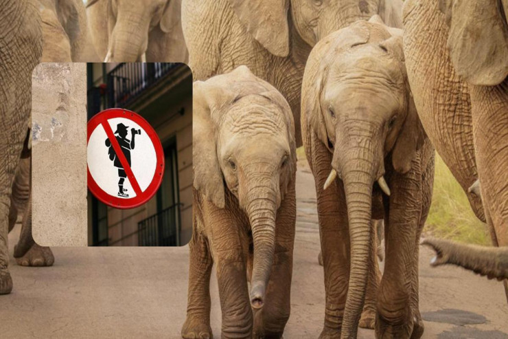 Turistlər ömürlərinin sonuna qədər peşman olacaqları əyləncələrdən danışdılar 