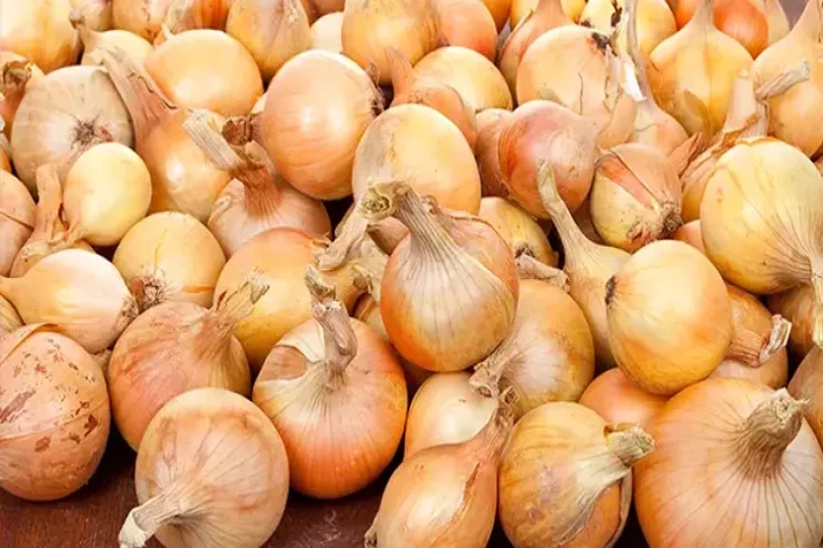 Yuxuda soğan  görmək nə deməkdir?