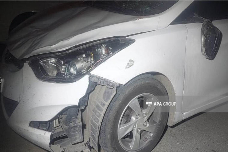 Goranboyda "Hyundai" iki heyvanı  vurub öldürdü