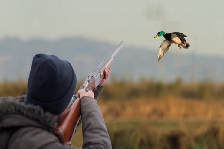 Ördəyi nişan alıb kürəkənini öldürdü  - Ov zamanı DƏHŞƏT