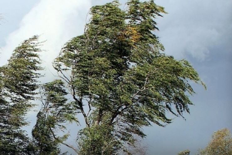 Küləklə bağlı  XƏBƏRDARLIQ 