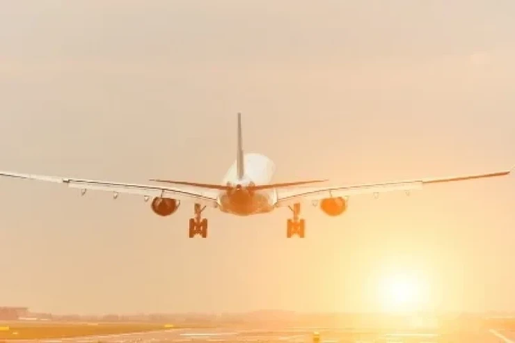 Təyyarə quşlarla toqquşdu