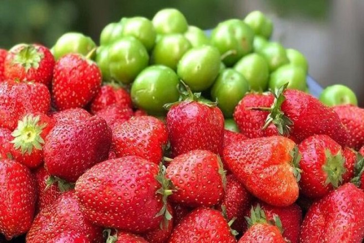 Azərbaycanda satılan çiyələk və alça  haradan gətirilir, nə qədər təhlükəlidir? – ARAŞDIRMA 