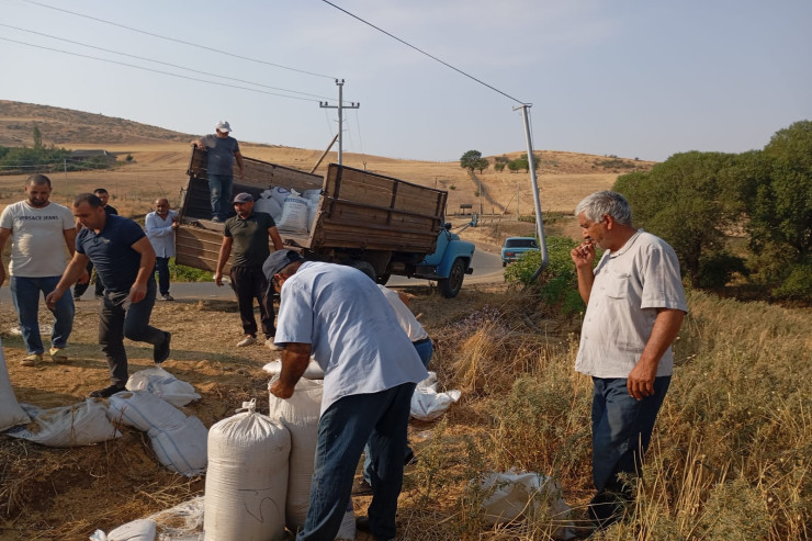 Cəlilabadda buğda daşıyan maşın aşdı: ölən və xəsarət alanlar var 