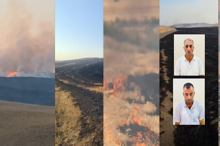 Şəkidə 860 hektar  ərazini yandıranlar həbs olundu 