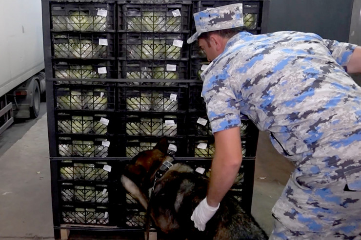 İrandan “kahı”  adı ilə narkotik daşıyanlar saxlanıldı