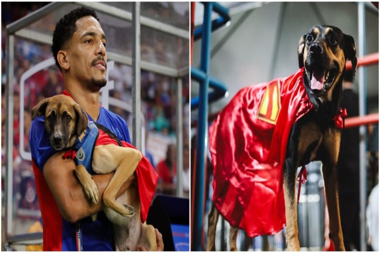 Futbolçular meydana super qəhrəman geyimində itlərlə  çıxdılar -  FOTOLENT 