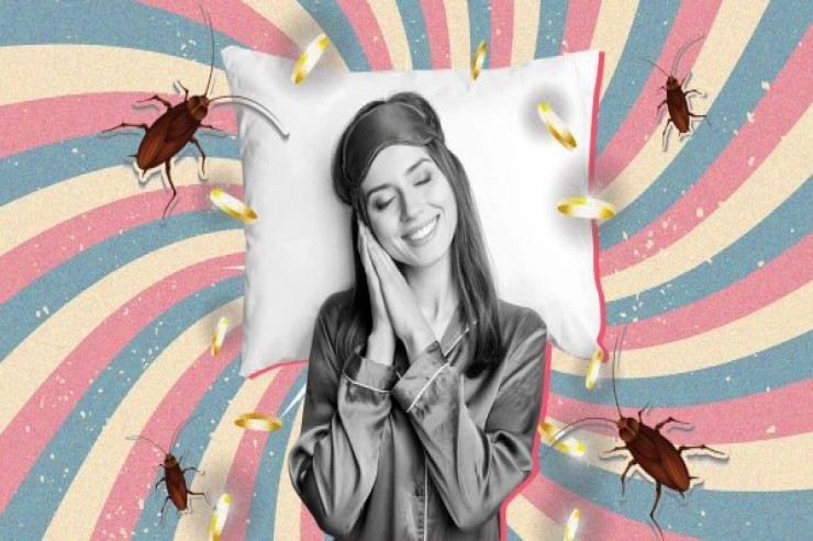 Qızıl, ağaclar və tarakan:  yuxuda sürətli sərvət vəd edən 7 ilahi əlamət 