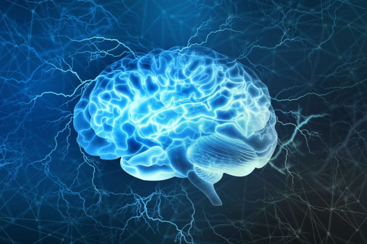 Uşaqlıq mühiti riskli qərarlarda beynin işləmə tərzinə  təsir edir