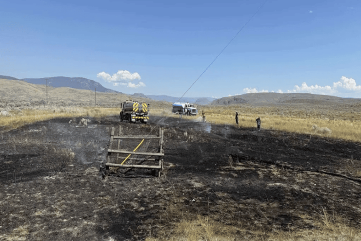 Göydən düşən balıq  yanğına səbəb oldu - Qəribə hadisənin TƏFƏRRÜATLARI 