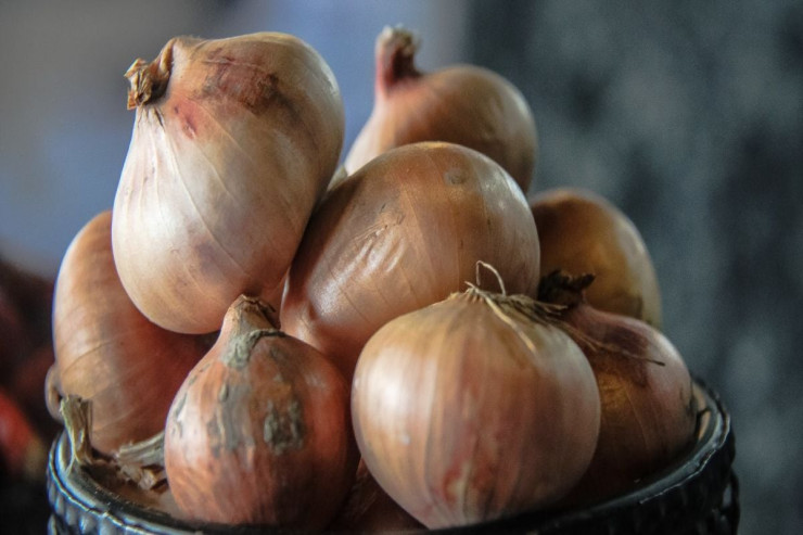 Soğan bütün il boyu xarab olmayacaq:  ən yaxşı saxlama üsulu  