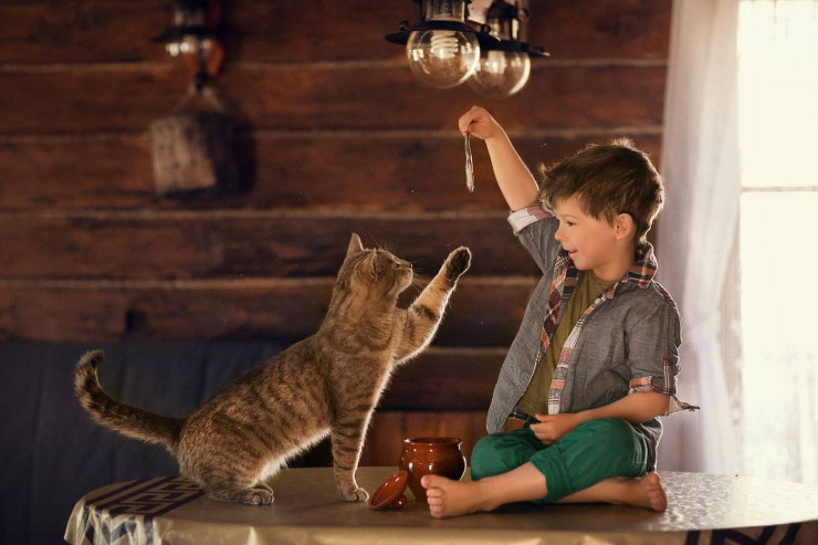 "Pişik paraziti" insanın davranışını idarə edə bilər 