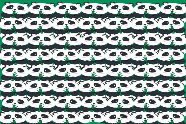 8 saniyə vaxtınız var:  pandalar arasında it tapın 