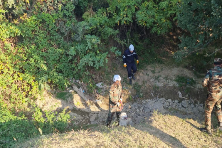 Meşədə itən oğlan tapıldı - VİDEO 