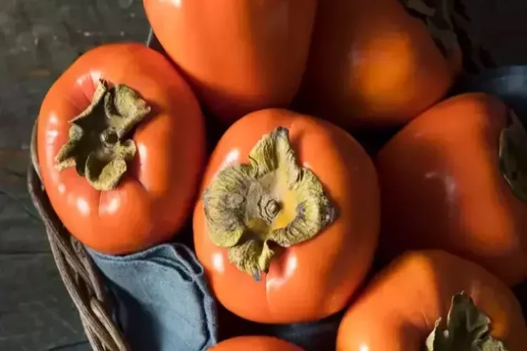 Təbii təzyiq dərmanı  - Damarları anında genişlədir