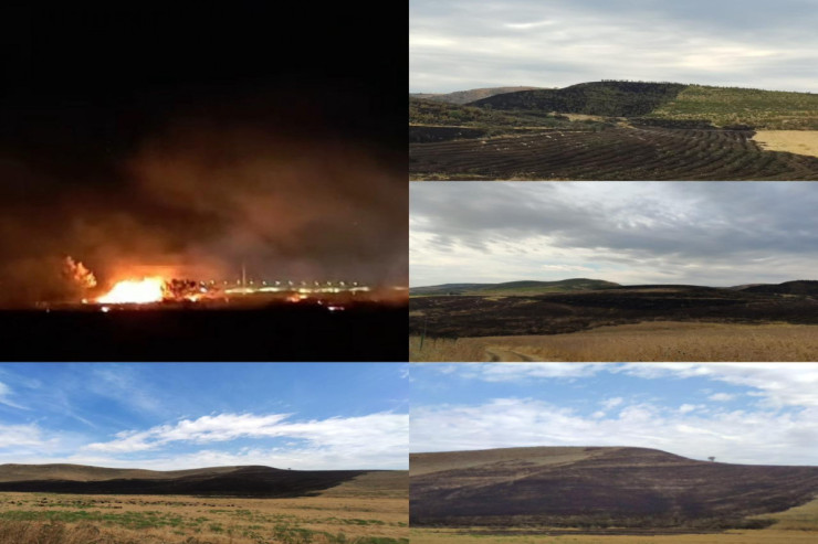 Azərbaycanda əkin sahələrini yandıran 2 nəfər  SAXLANILDI 